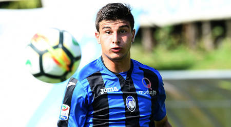 鲜且颇具看 鲜且颇具看